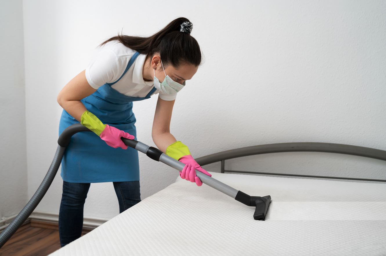 Upholstery Cleaning in New York