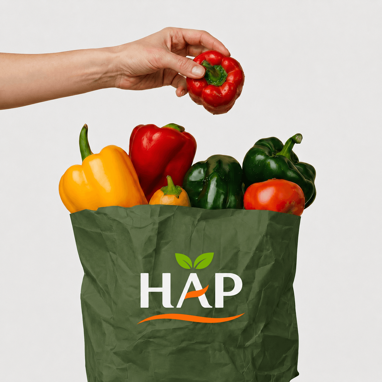 Пробная партия