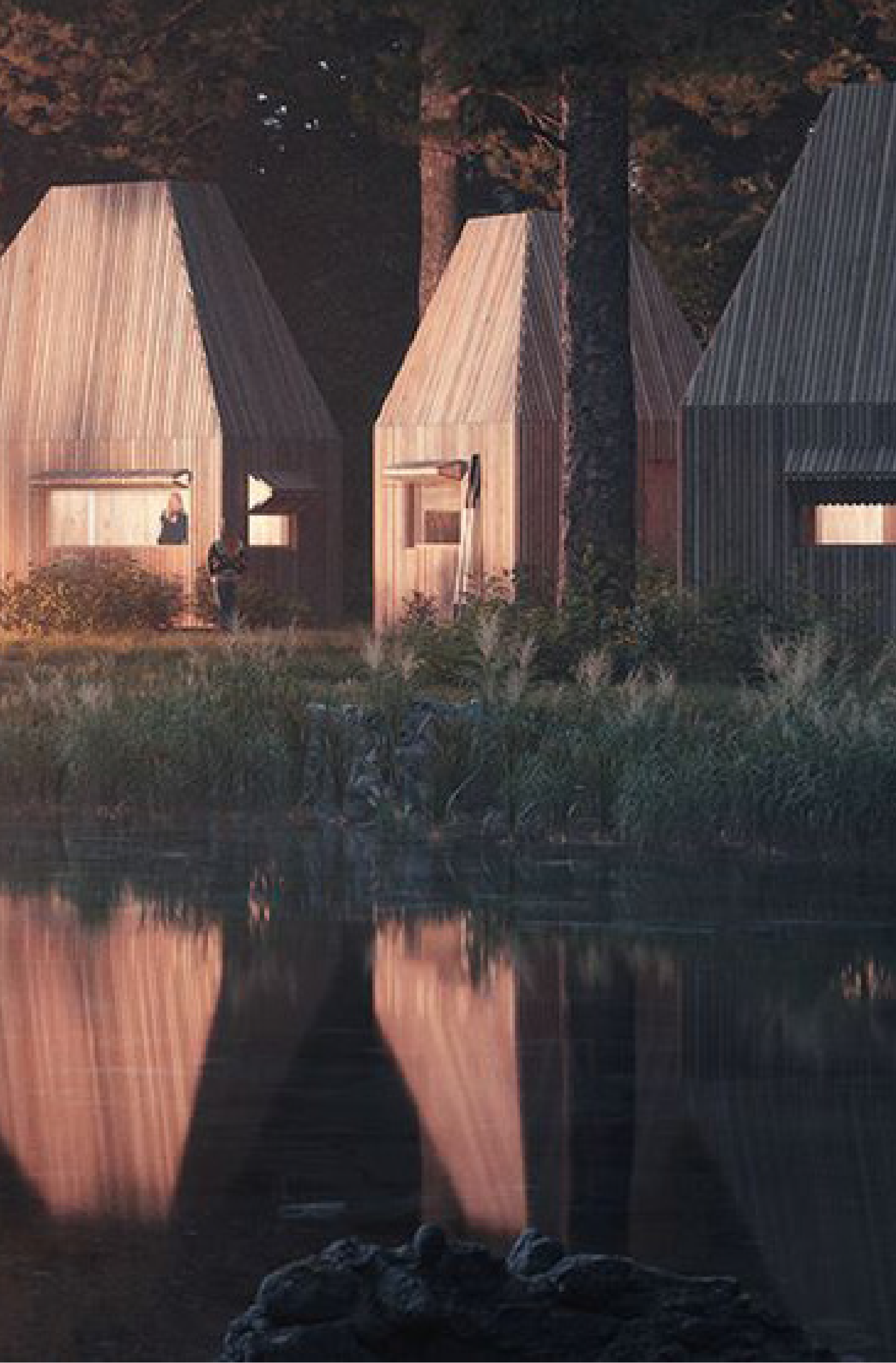 Altai. A typology of functions. Concept