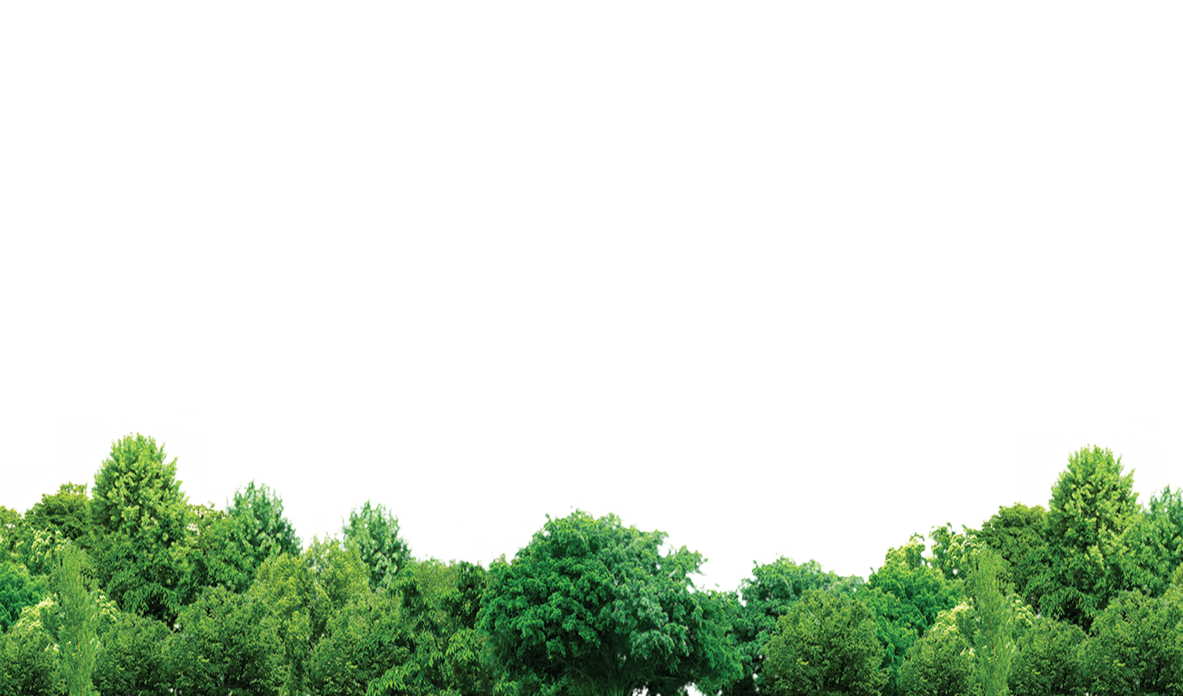фон лес пнг. лес на прозрачном фоне. силуэт леса. лес без фона. лес на прозрачном фоне.