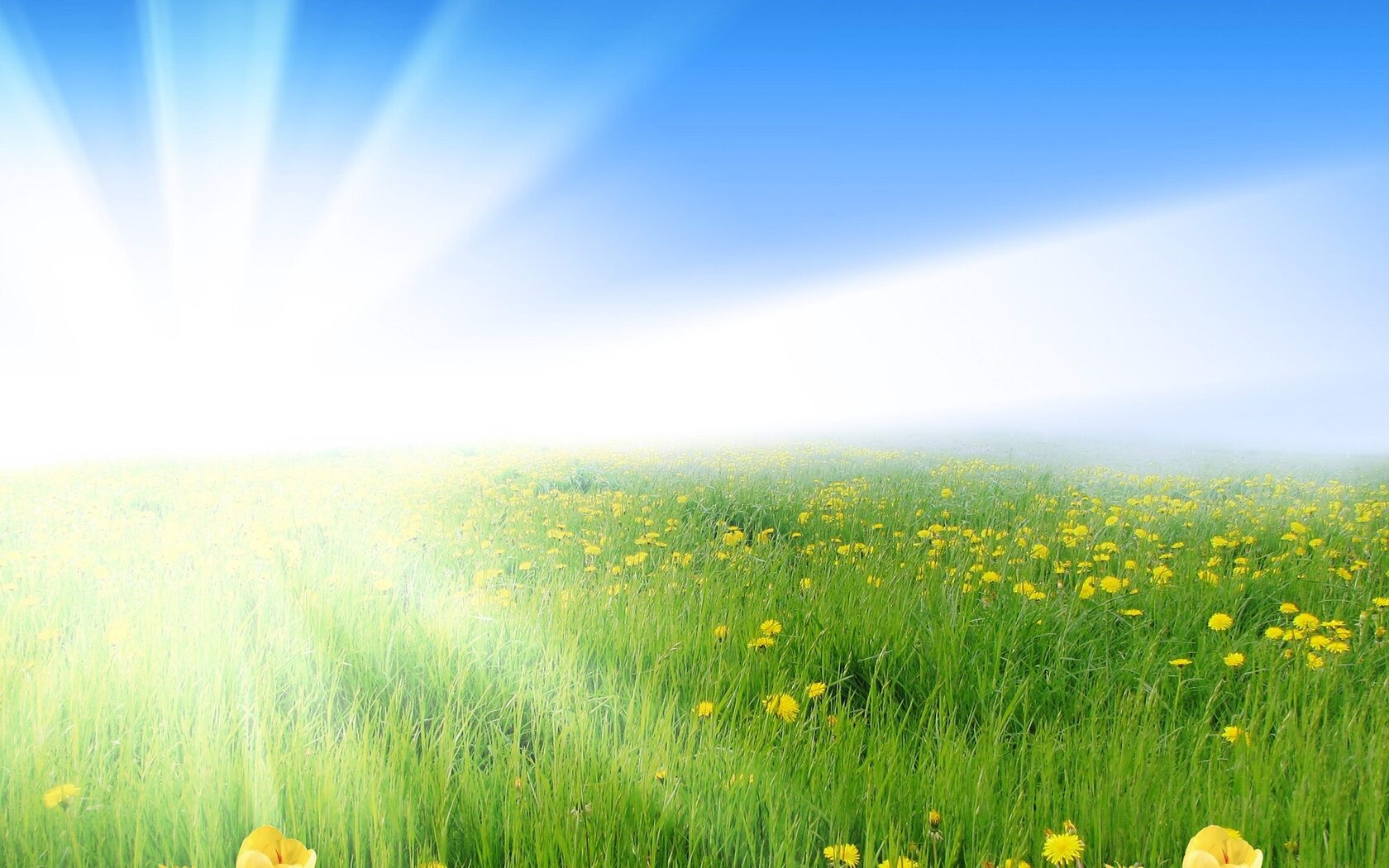 Фон солнечное небо и трава