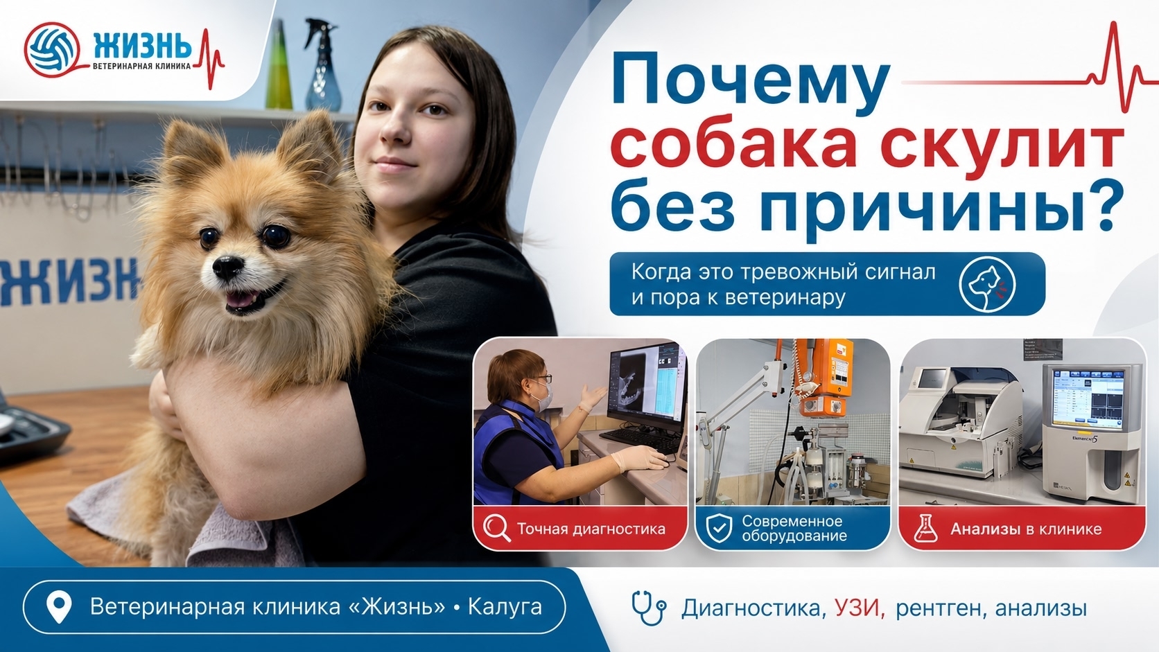Ветеринарная клиника в Калуге Жизнь