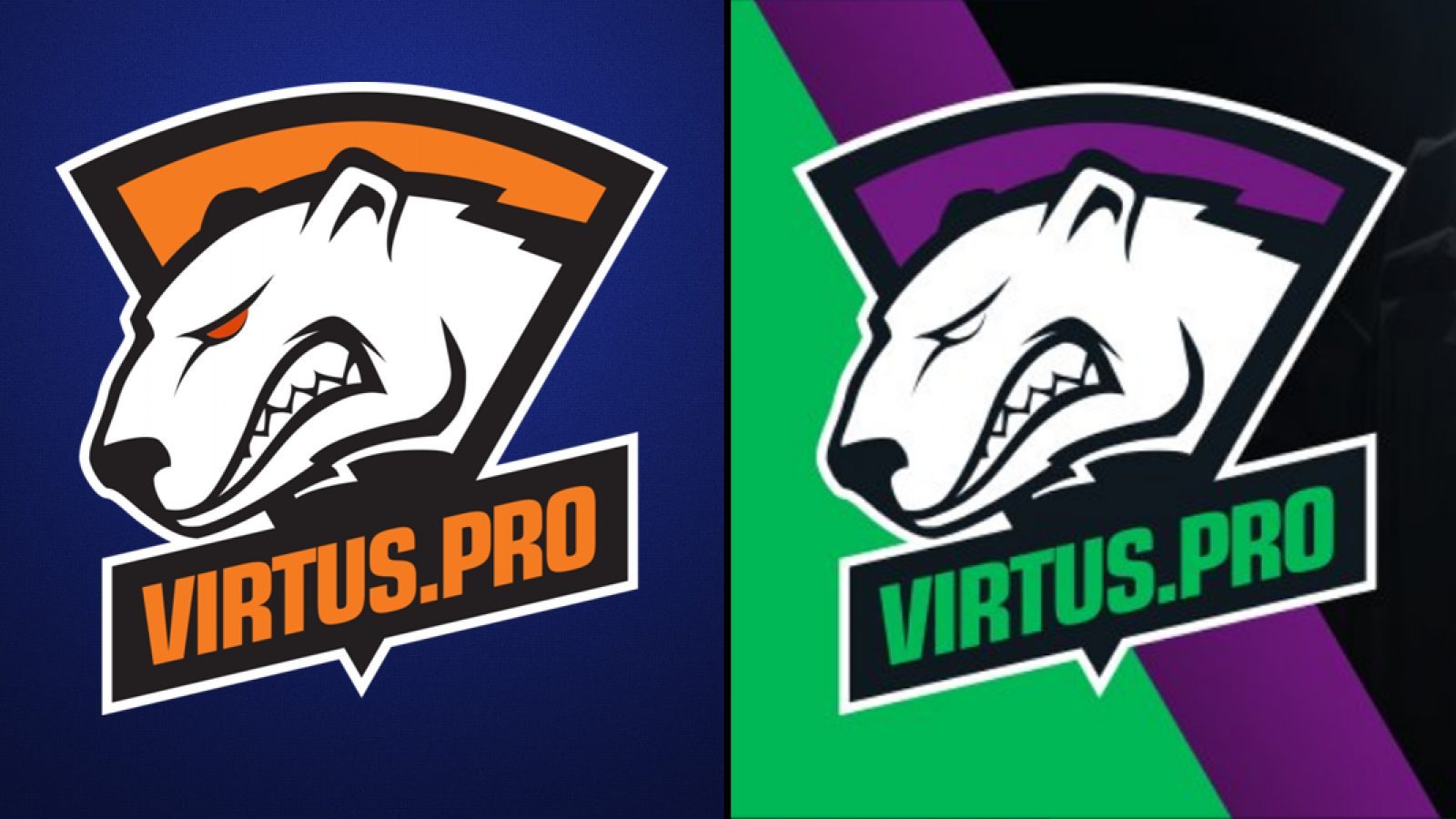 Живые обои virtus pro