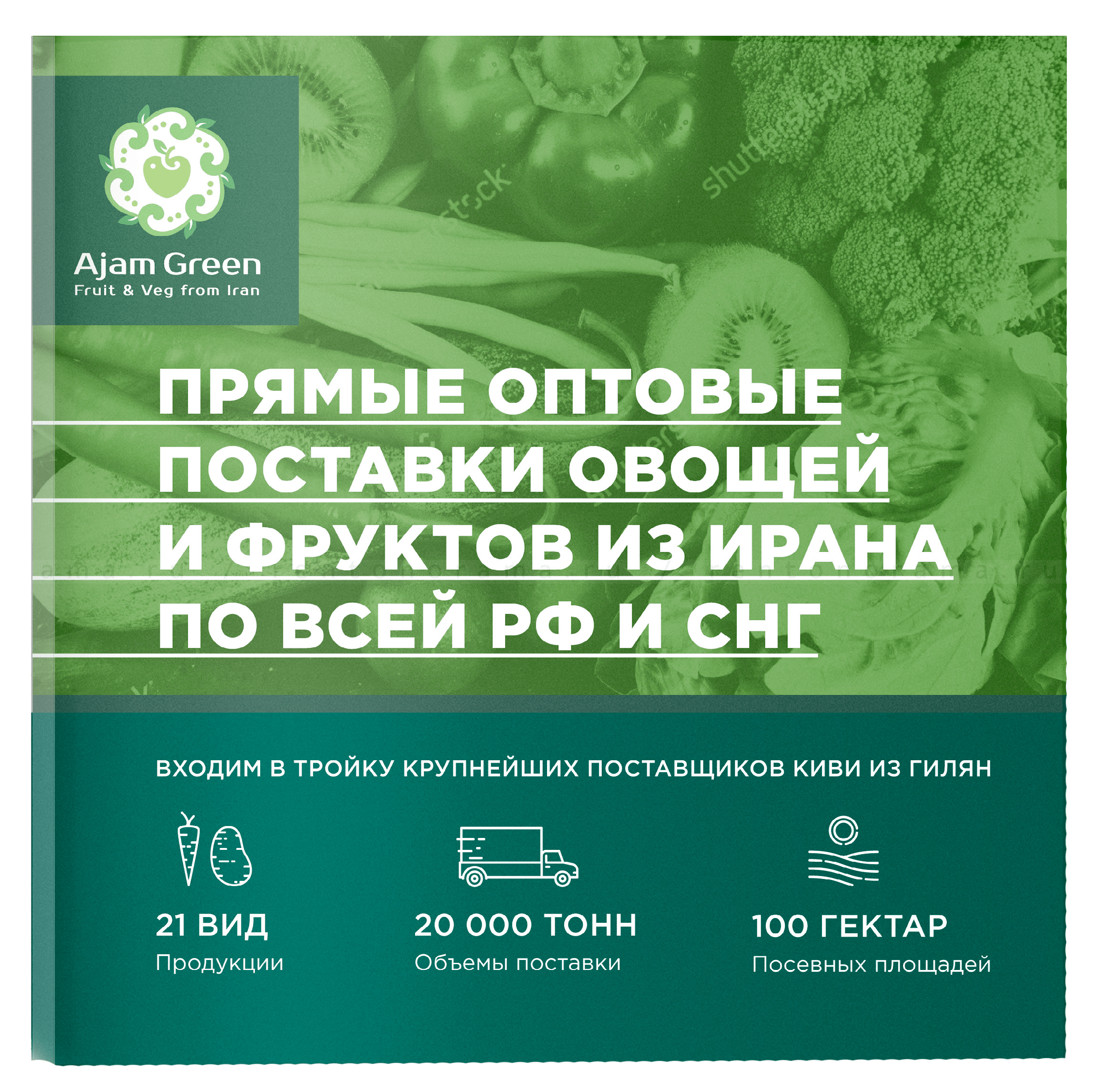 Дизайн маркетинг-кита