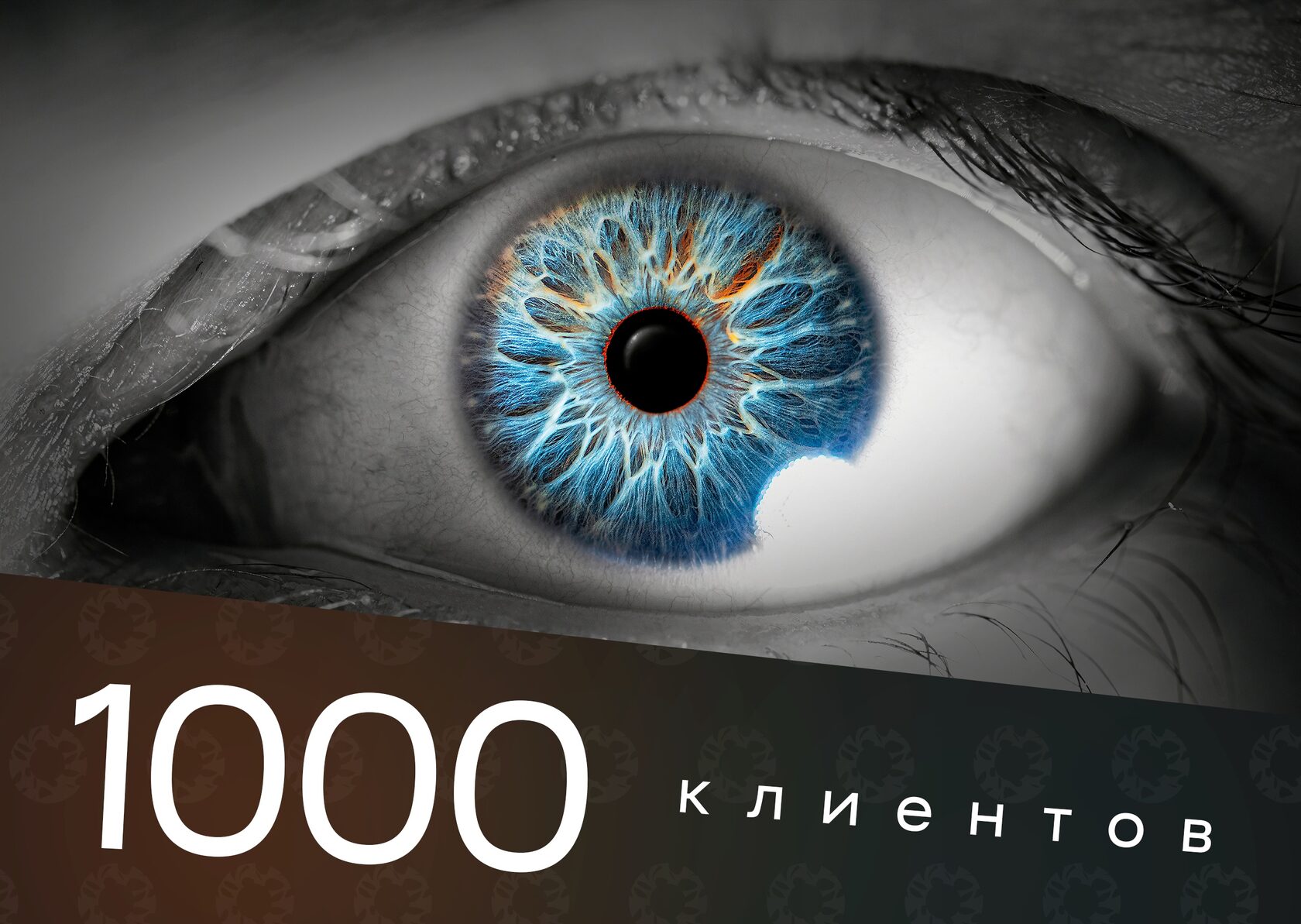 1000 клиентов