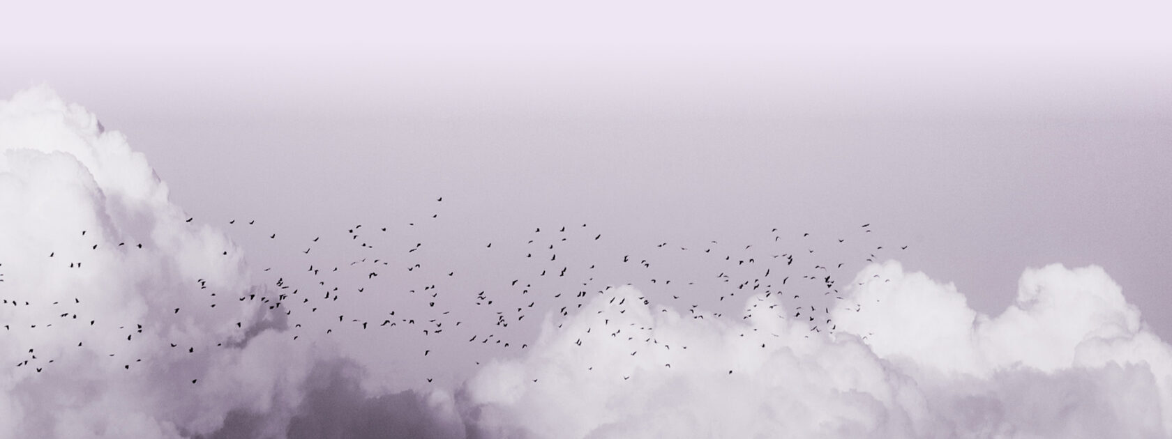 eidos, обложка футера