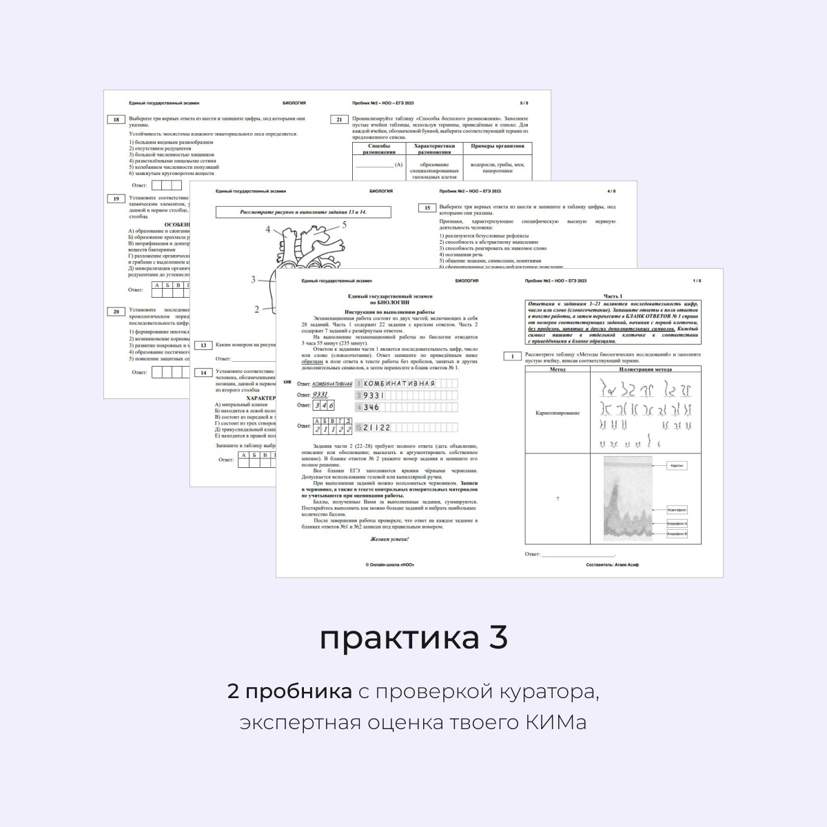 Телеграмм егэ по русскому языку фото 86