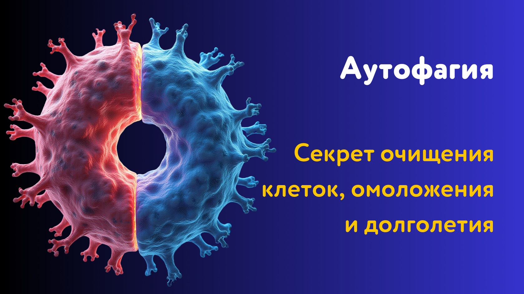 Аутофагия, очищение клеток, процесс аутофагии, долголетие и аутофагия, как работает аутофагия, активация аутофагии, польза аутофагии для здоровья, голодание и аутофагия, Эффект 3К и аутофагия, система питания «Эффект 3К», диета с низким содержанием углево