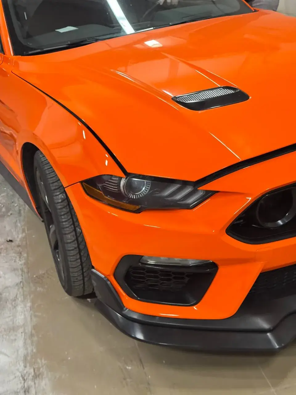 Передняя часть Ford Mustang