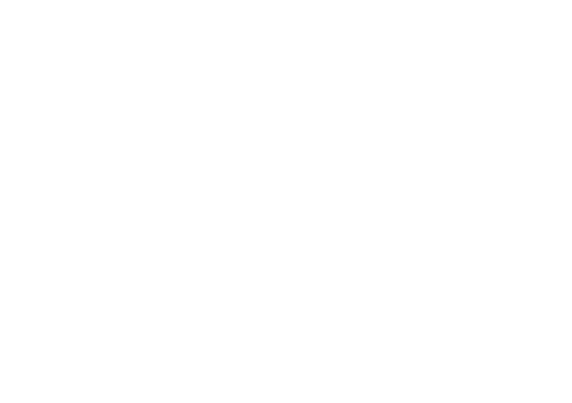 Digital-на-Дону by Rocket Business