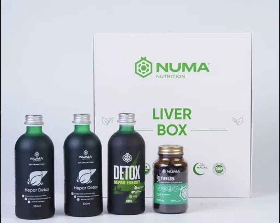 liver box 2