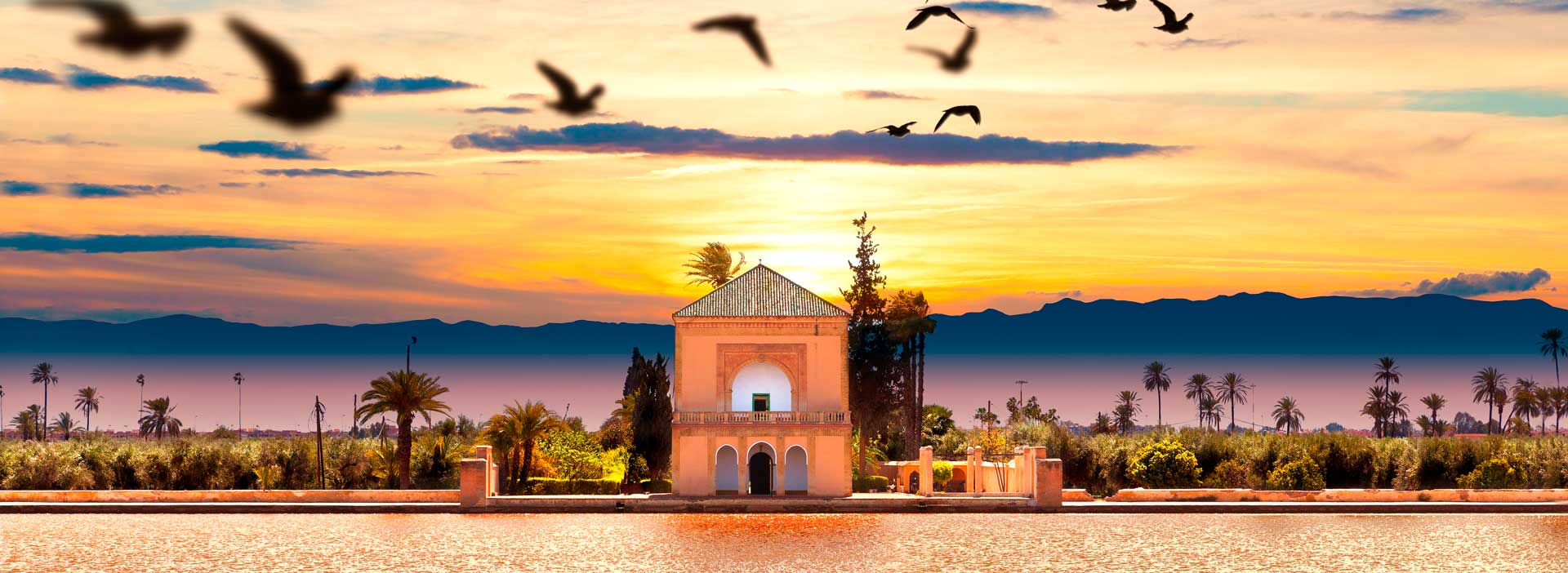 вид на сады в марракеше в марокко