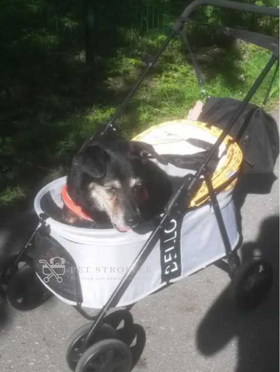 Коляска прогулочная для собак bl09-m