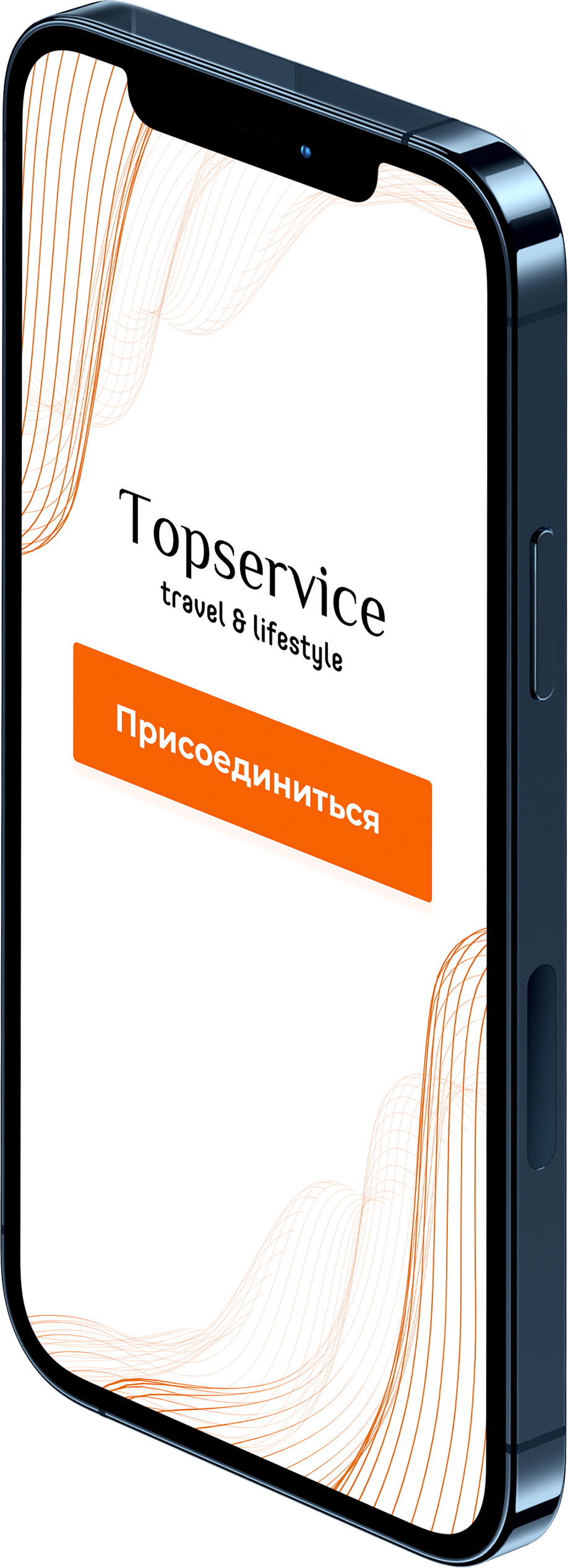 разработка сайтов на тильде цена