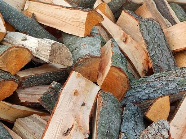 Дрова в Одессе купить недорого с Лесбазы Юг по низкой цене