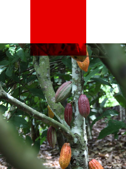 Красный Октябрь. Качество и ингредиенты