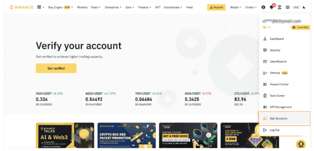 Binance Sub Account Section