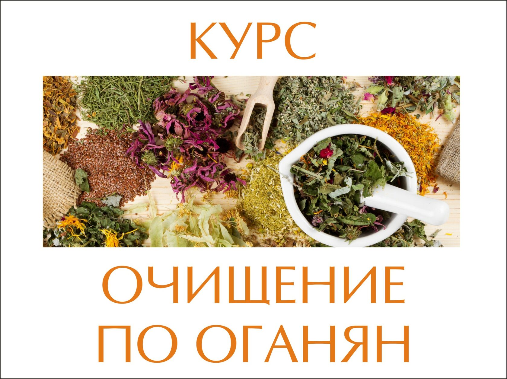 Мирослава Интернет Магазин Трав