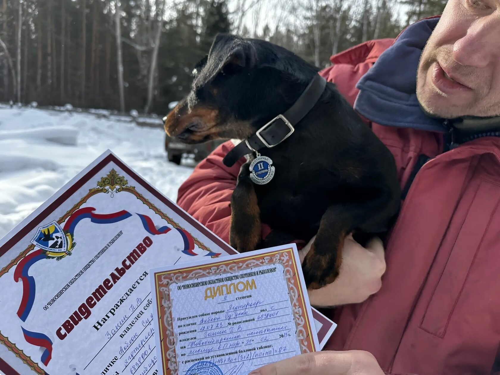 Первые рабочие дипломы Ярославны по лисе. Потом будет и барсук, и кровяной след, и кабан. Но охотимся мы в основном по перу.