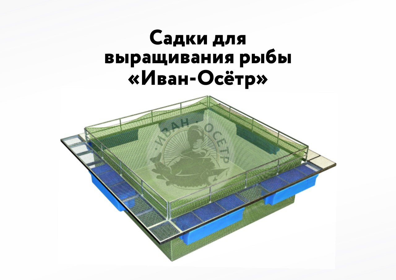 Садки (дели) для выращивания и передержки рыбы "Иван-Осётр"