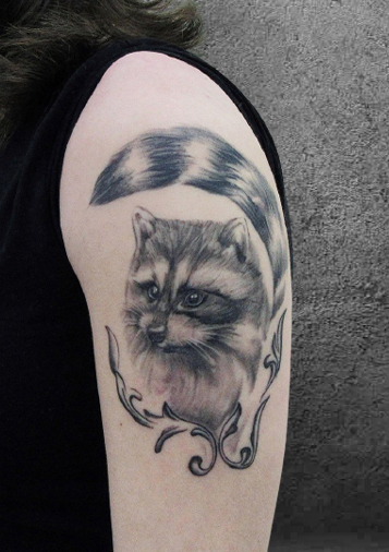  тату салоны Пермь, тату енот, сделать тату в Перми, лучшие тату мастера Перми, тату салон Пермь цены