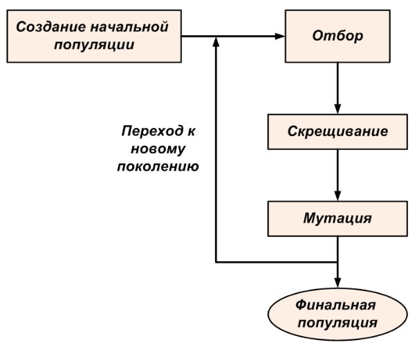 Схема работы генетического алгоритма