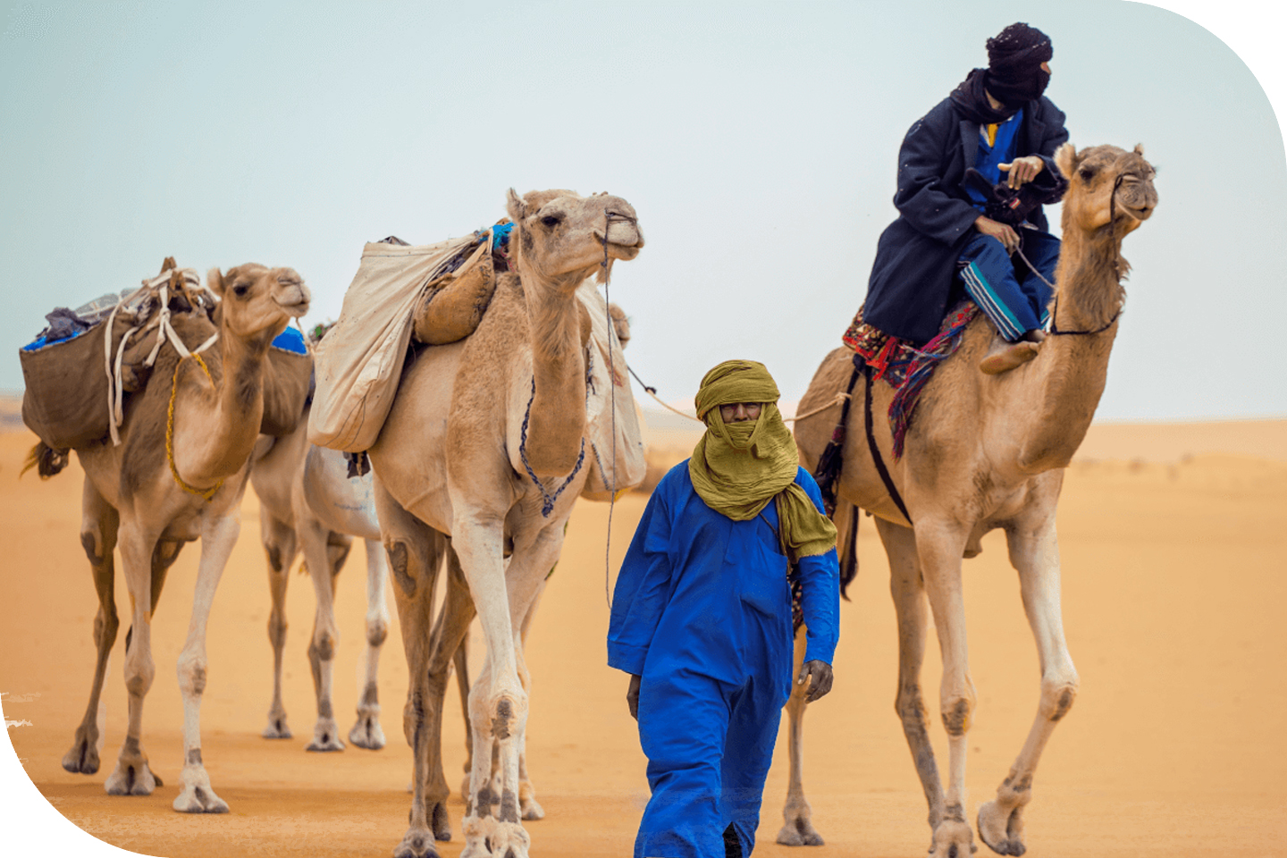 Назови самую жаркую страну. Берберы туареги бедуины. Туареги Марокко бедуины. Арабы бедуины. Туареги племя кочевников Африки.
