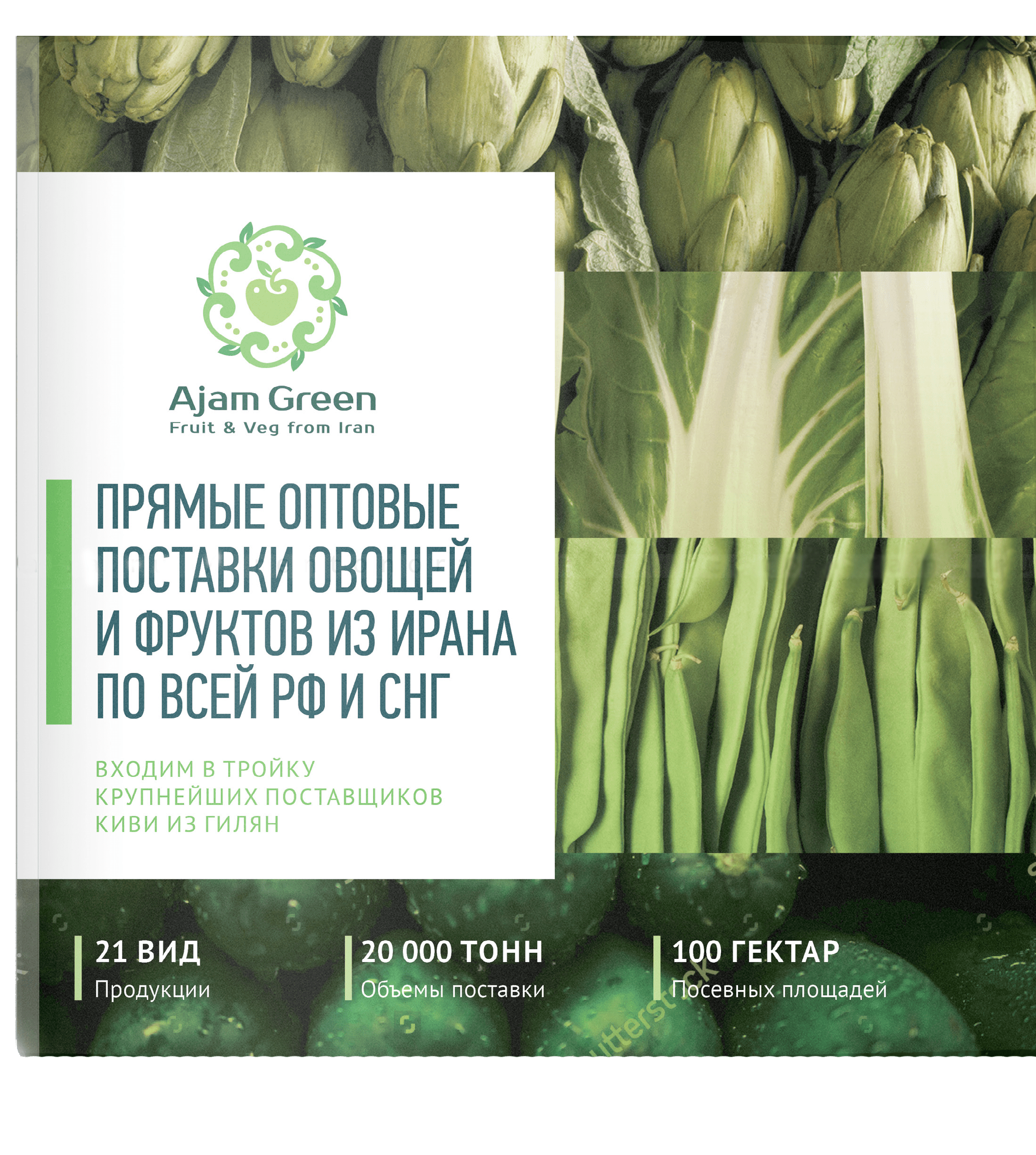 Дизайн маркетинг-кита