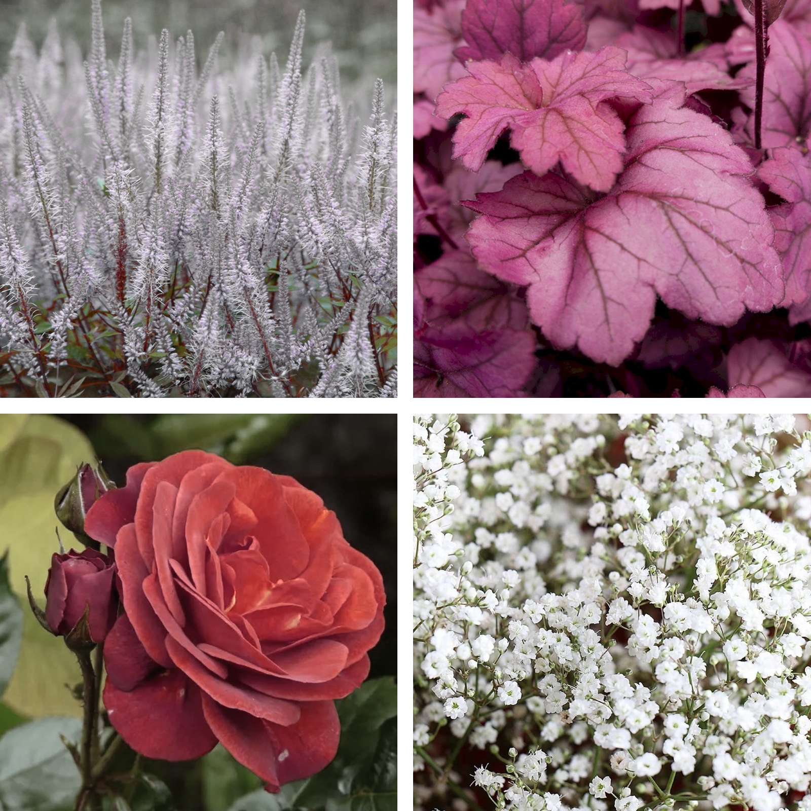 07_Туманный Альбион