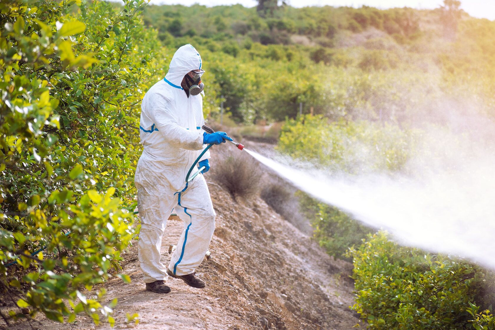 Пестициды и окружающая среда