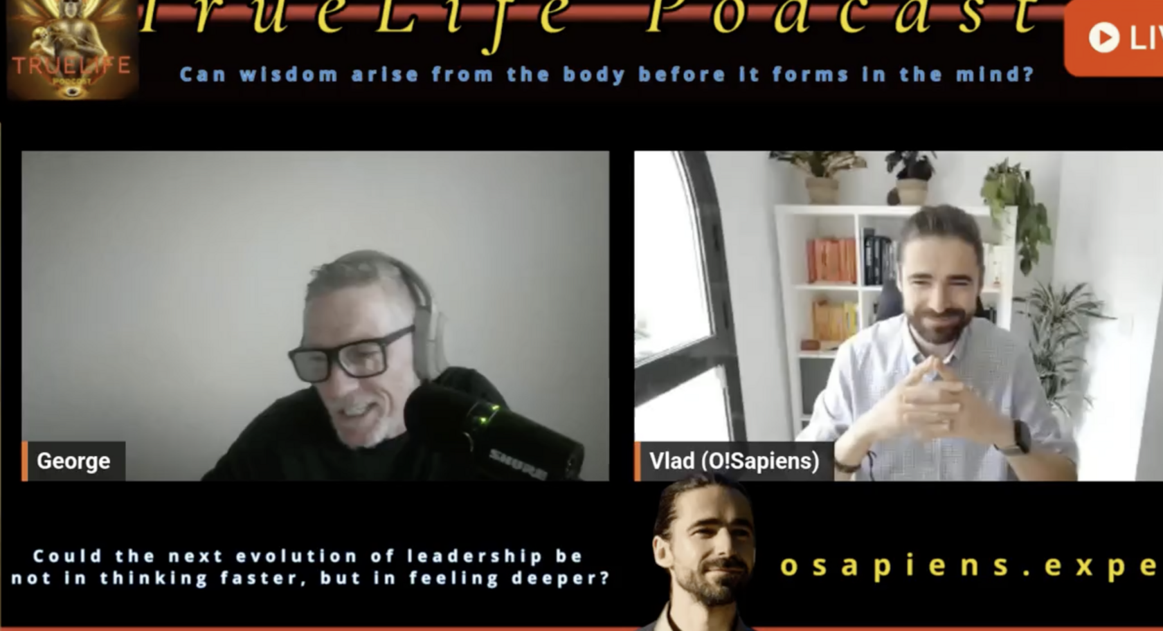 Nervous System Regulation Basics