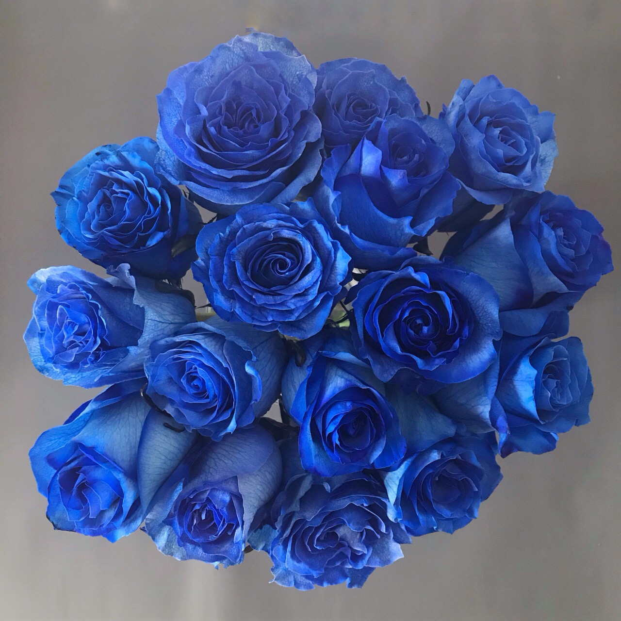 Букет из синих роз фото