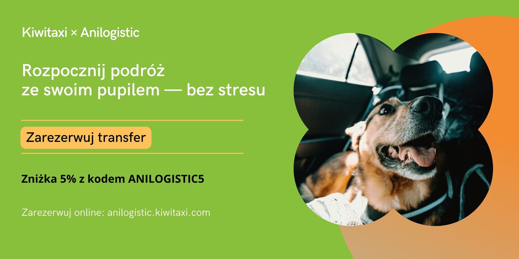 Podróż ze zwierzęciem z Kiwitaxi: wygodny transfer i kod ANILOGISTIC5