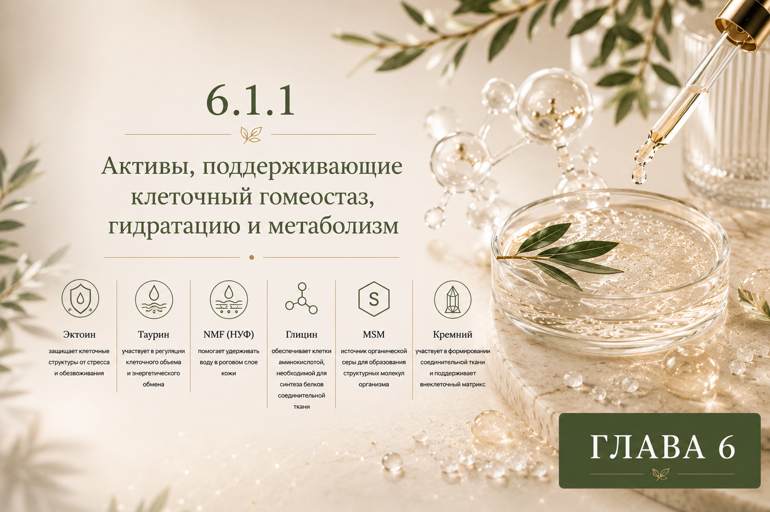 Активы для поддержания клеточного гомеостаза гидратации и метаболизма кожи — эктоин таурин NMF глицин MSM и кремний  Краткое описание  Post Descrip