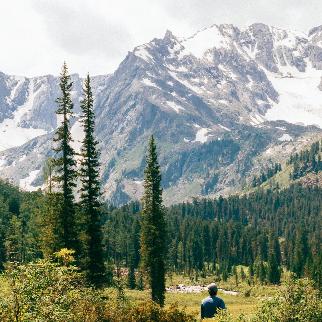 экопоселок 7 небо. седьмое небо экопоселок горный алтай. 7 небо алтай. седьмое небо база горный алтай. седьмое небо горный алтай.