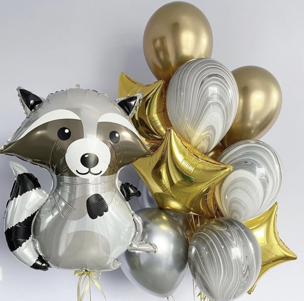 Звёздный енот