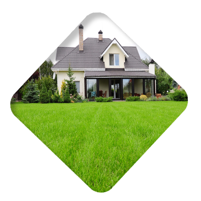 БиоГрядка - 100% натуральный биопрепарат, отпугивающий змей