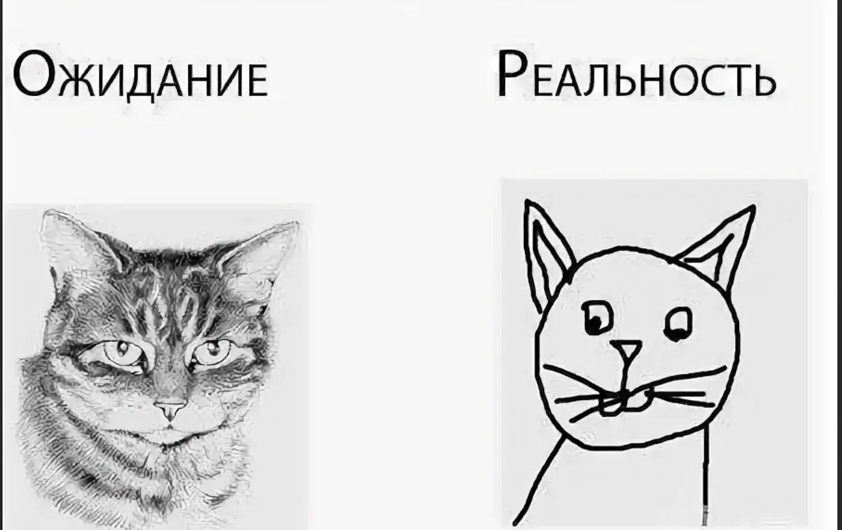 Пример работы с котиком