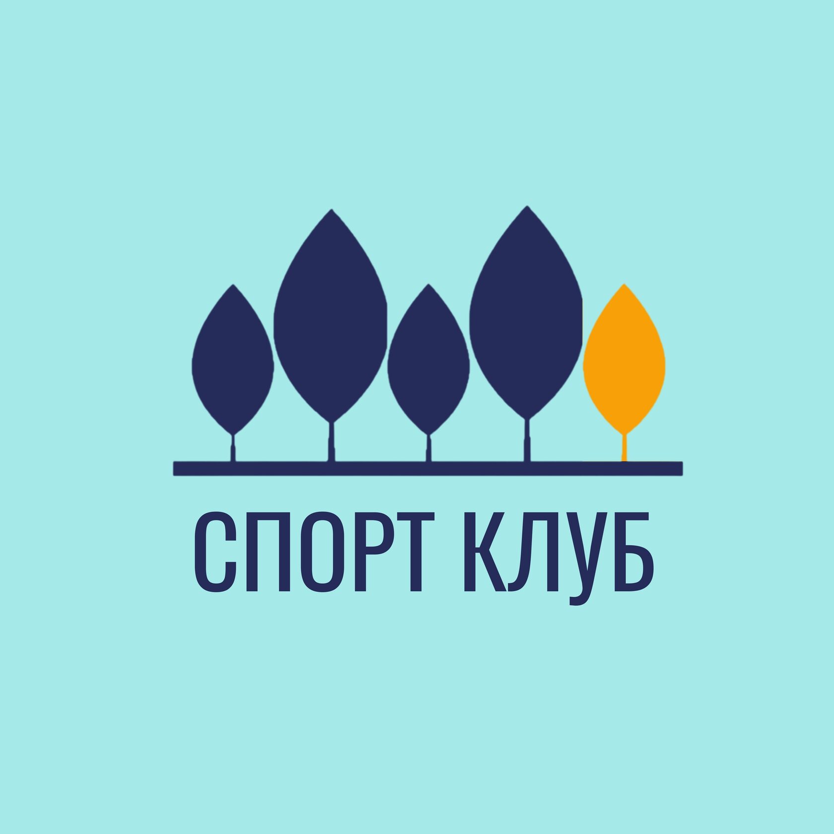 СПОРТИВНЫЙ КЛУБ ТОС ИВА