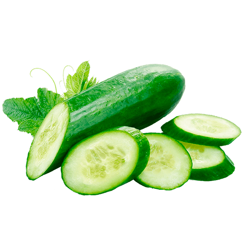 Нормы внесения Гумифулин и Органол для огурцов