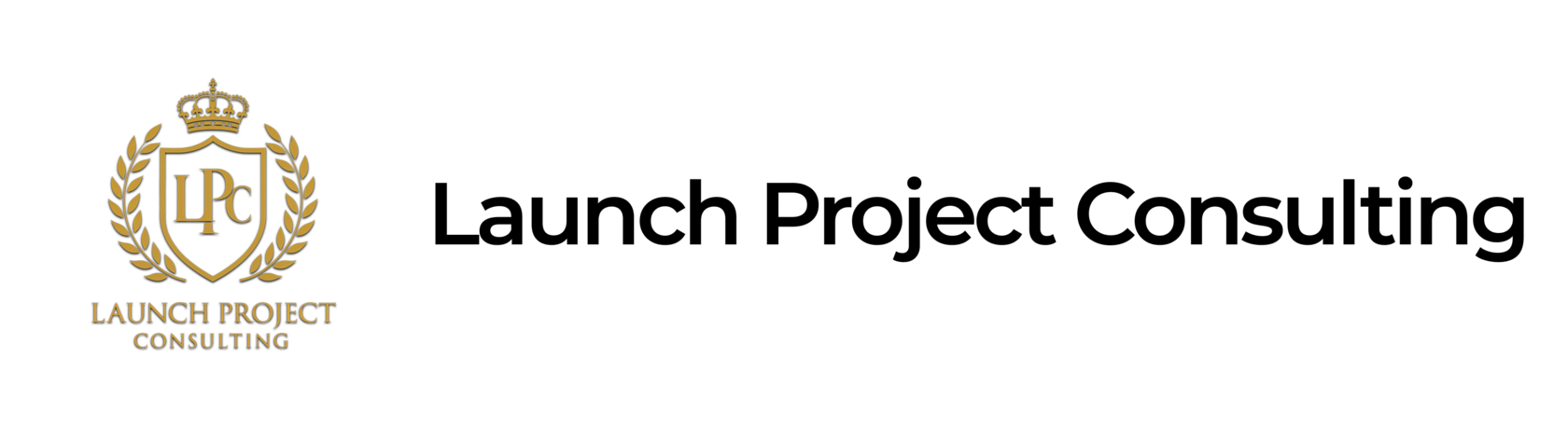 Launch Project Consulting
