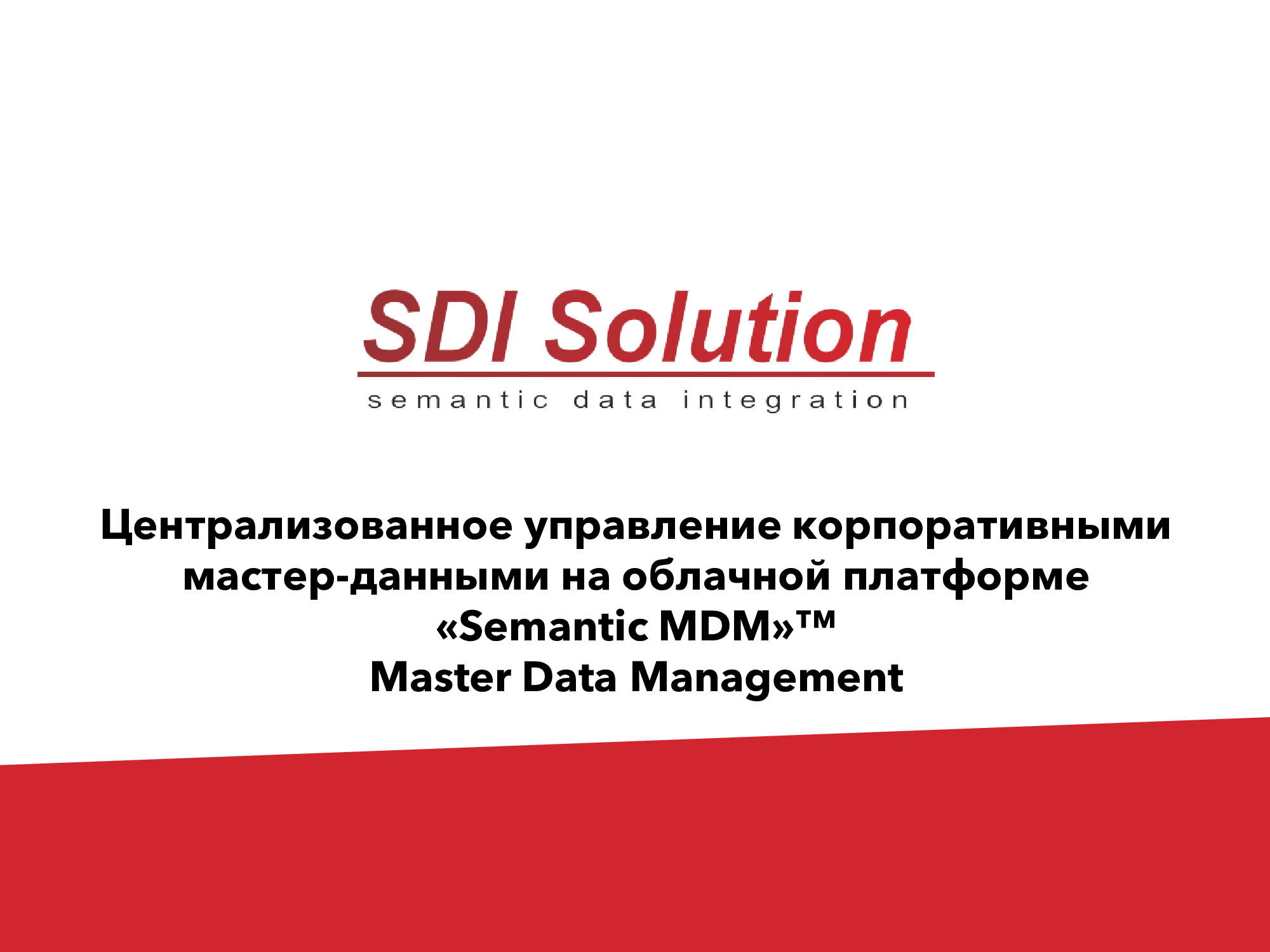 SDI-Solution | Для холдинговых структур