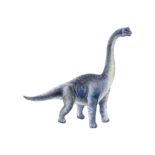 Brachiosaurus