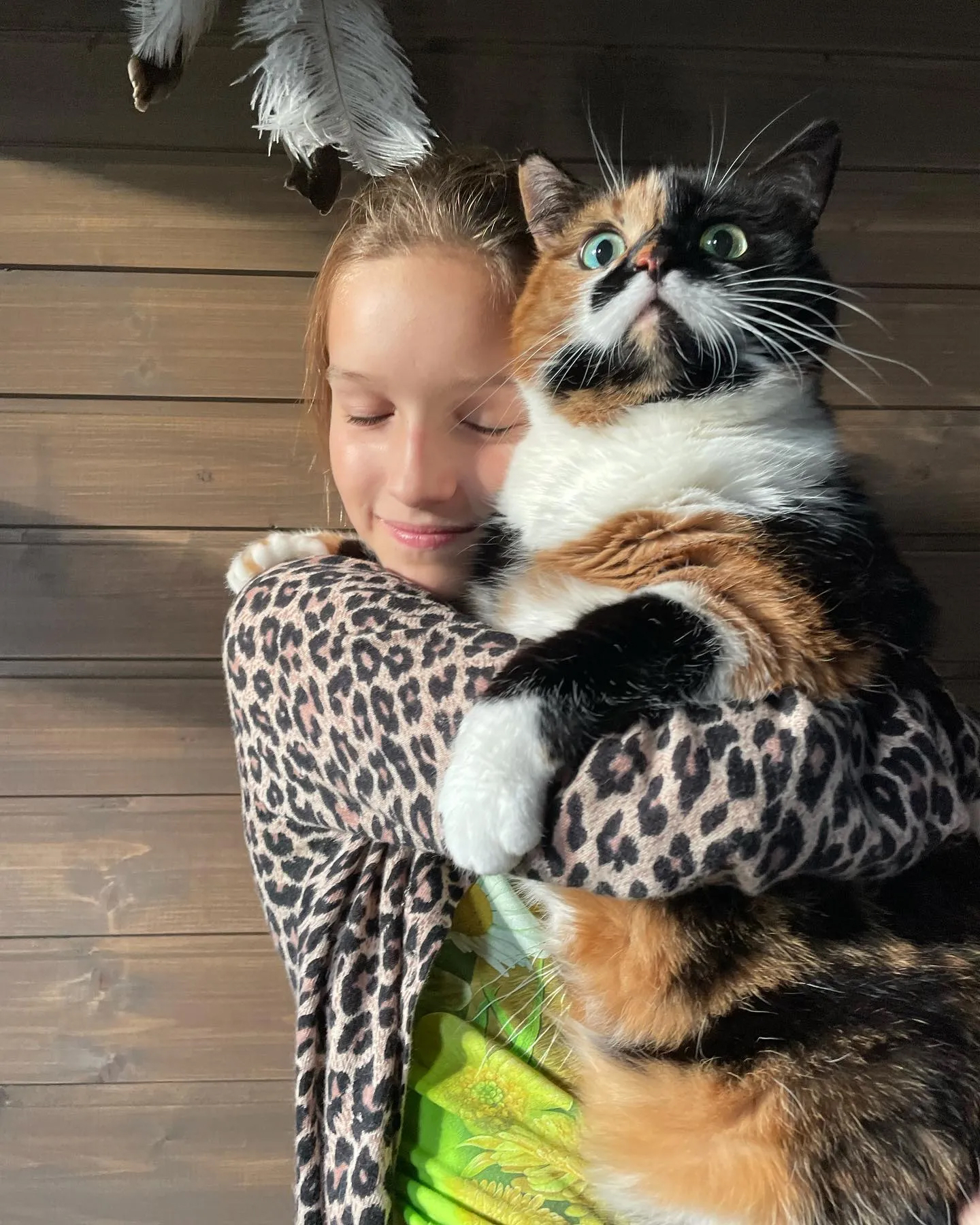 Зоогостиница