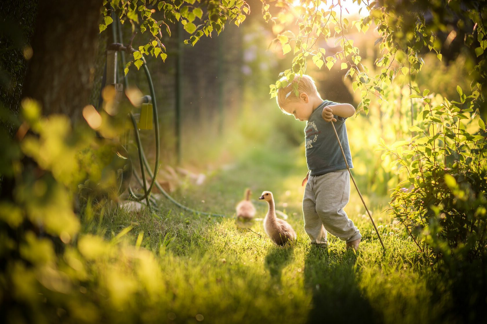 Child nature. Дети и природа. Мальчик на природе. Дети на природе летом. Малыш на природе.