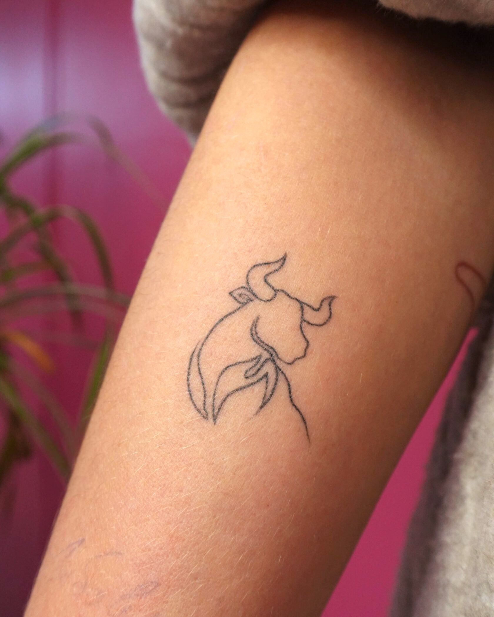 Зажившая мини-тату VivoTattoo — пример 2