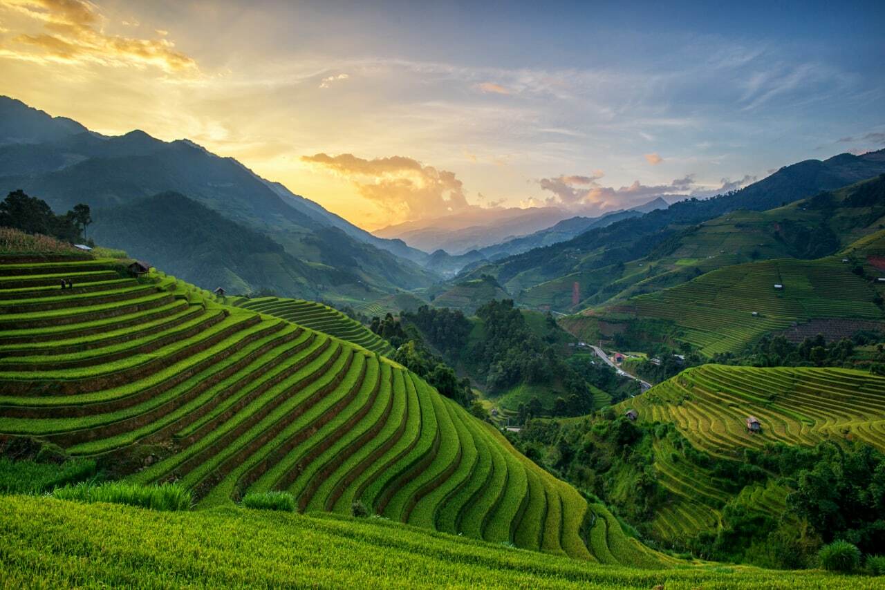 Террасы в му Кан чай, Вьетнам