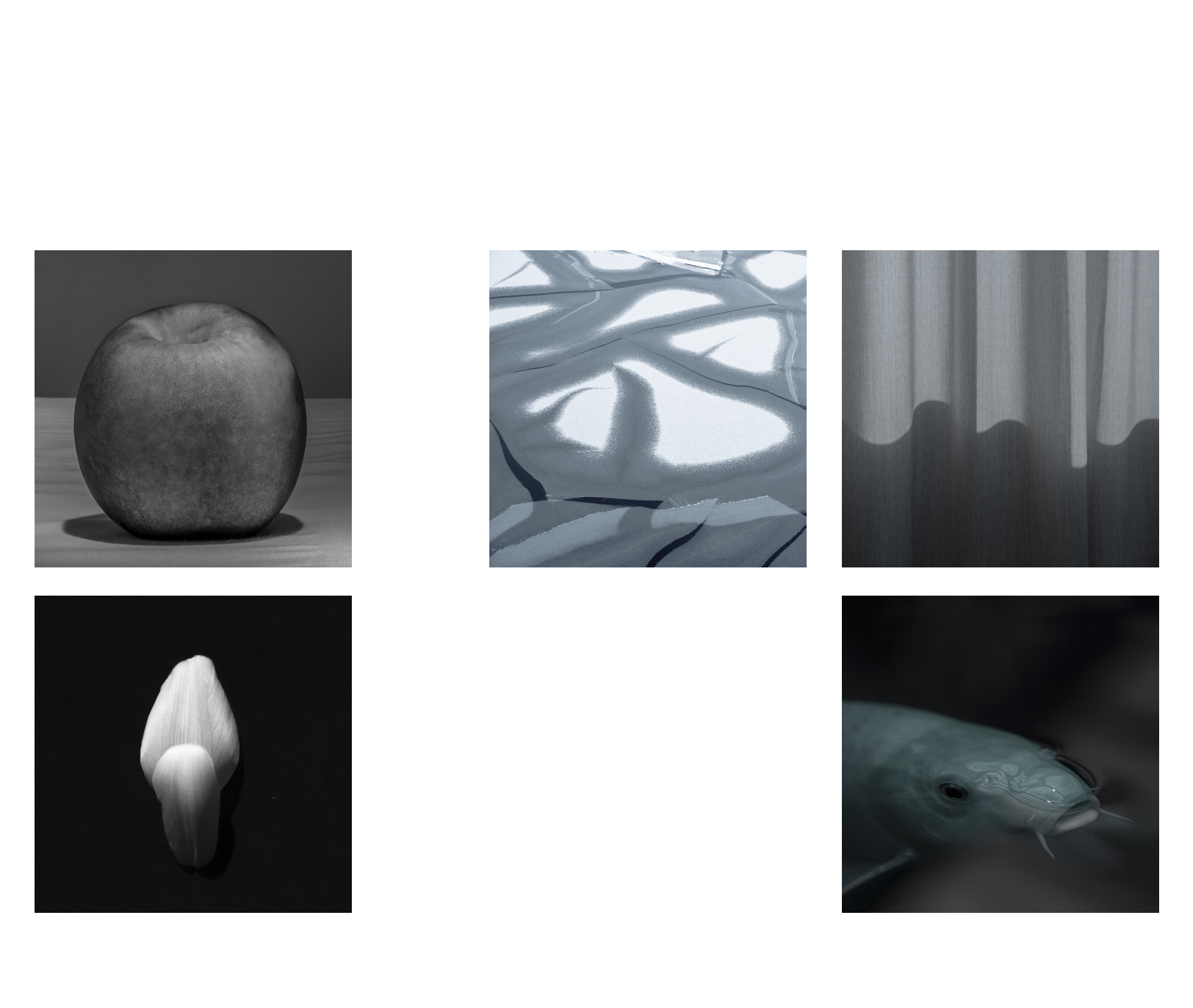 Ksenia Malafeeva — monochrome works
