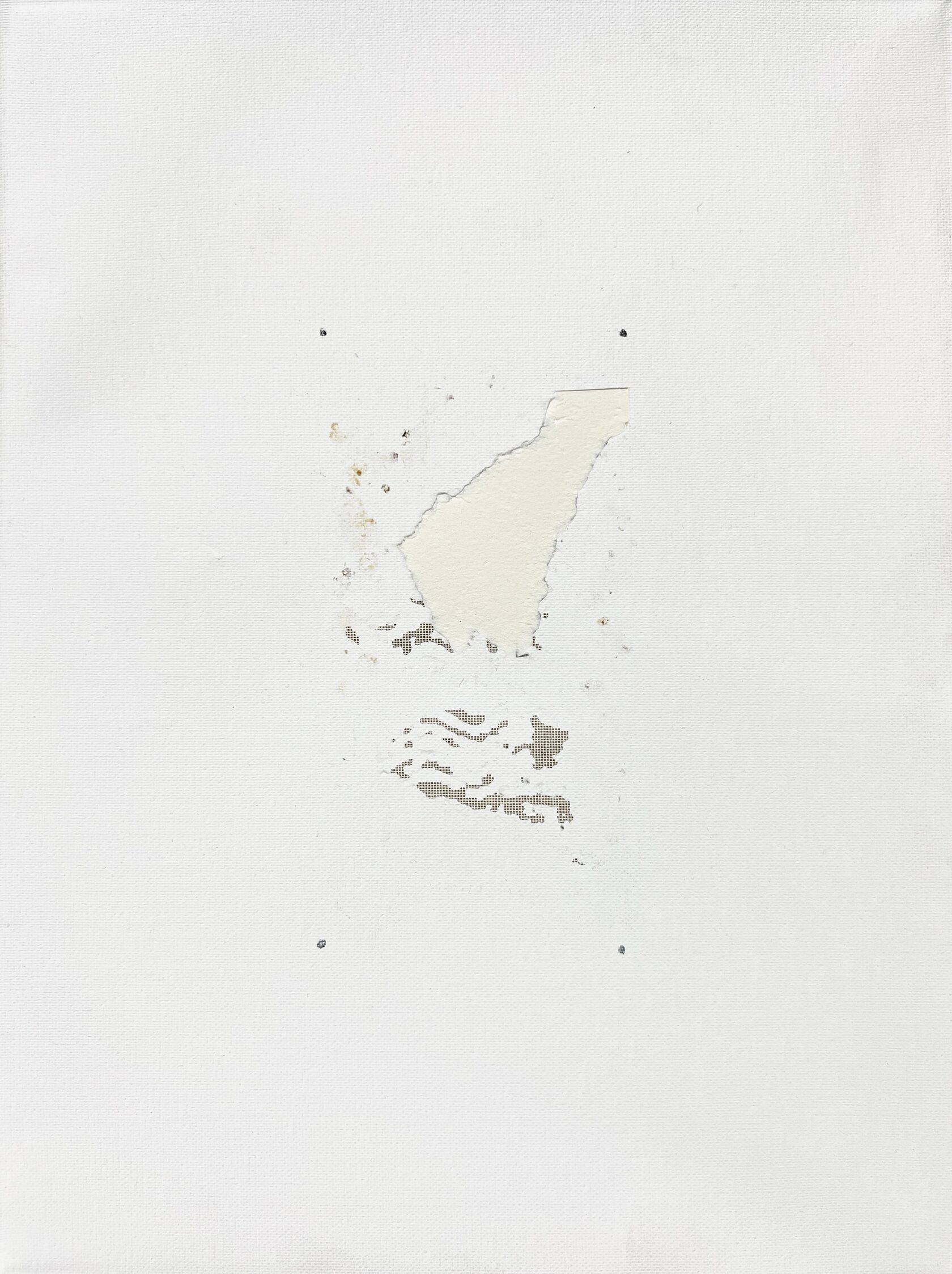 Тараканья Живопись, холст, найденный объект, 40x30 см, 2024