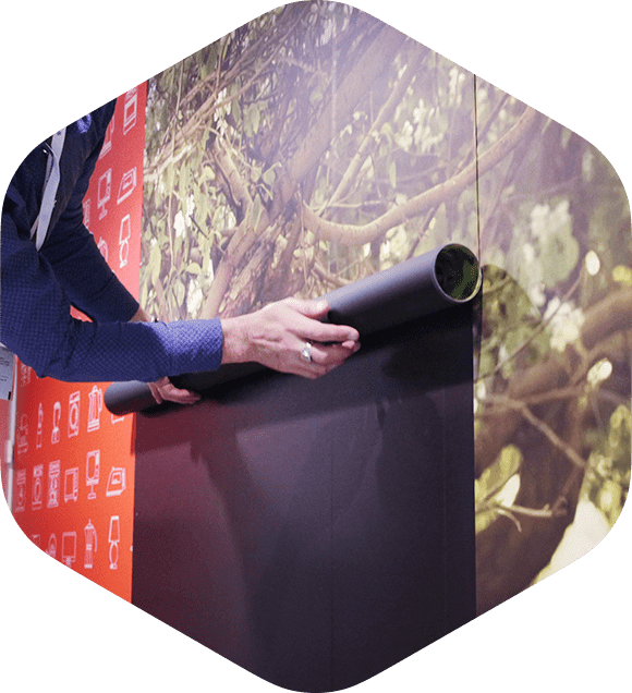 Демонстрация ферропленки